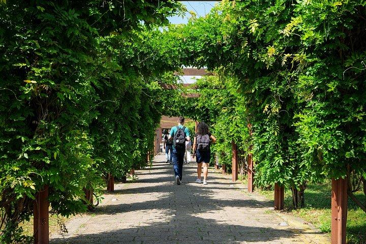 ヘルクラネウムのガイドツアー：古代ローマの家を巡る旅