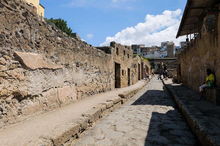 ヘルクラネウムのガイドツアー：古代ローマの家を巡る旅