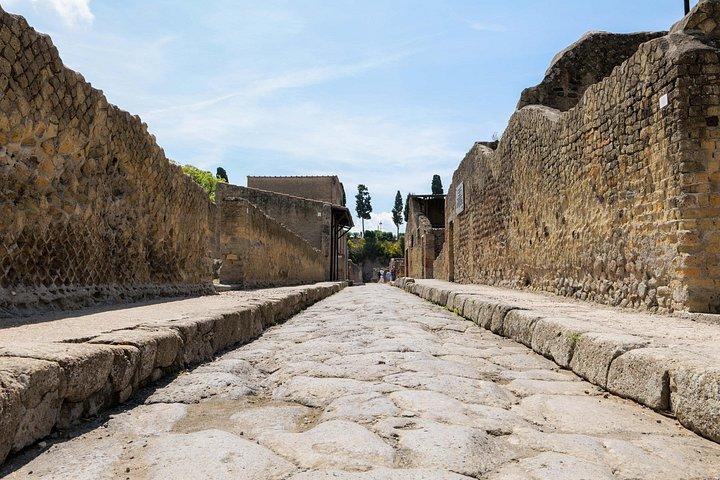 ヘルクラネウムのガイドツアー：古代ローマの家を巡る旅