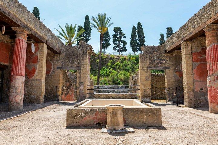 ヘルクラネウムのガイドツアー：古代ローマの家を巡る旅