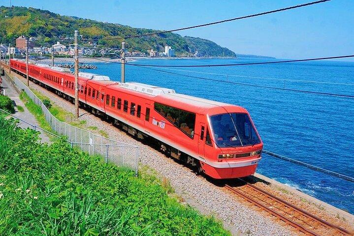 De Tóquio : Izu Scenic Oceanview Train, Volcano, Excursão de um dia na costa