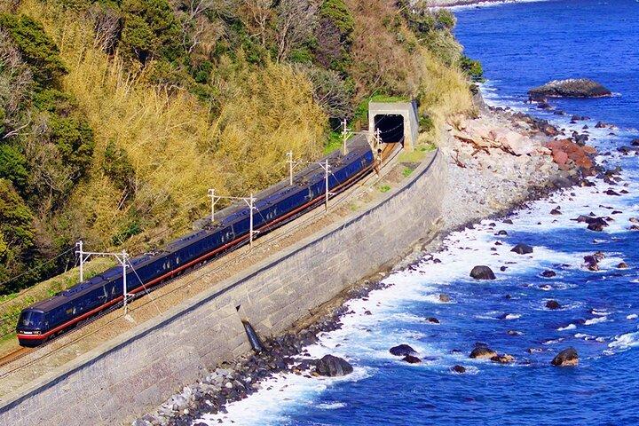 東京発：伊豆観光オーシャンビュー列車、火山、海岸日帰り旅行