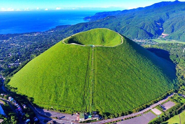 東京発：伊豆観光オーシャンビュー列車、火山、海岸日帰り旅行