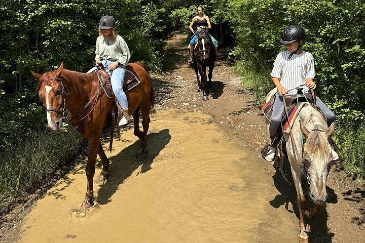 クラクフ発ザコパネ乗馬＆温泉1日