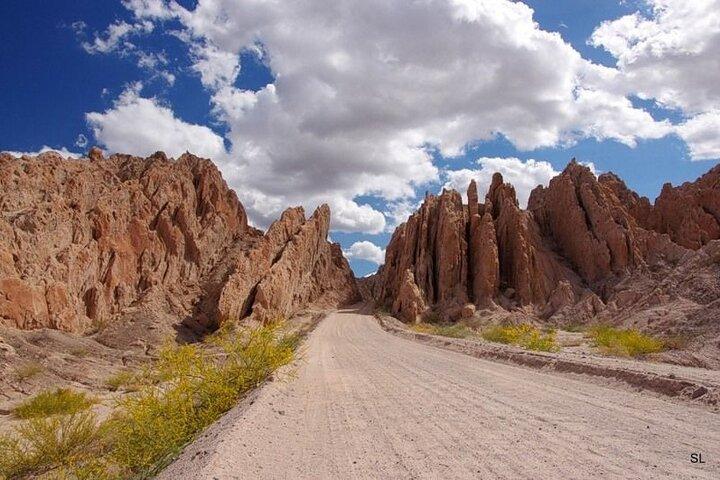 Vuelta a los Valles Cafayate y Cachi en 1 Día