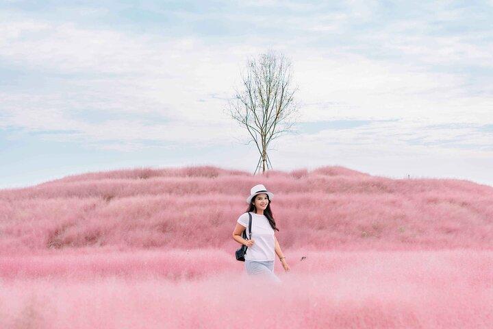 Autumn Jinju Namgang Lantern Festival & Pink Muhly Tour fr Busan