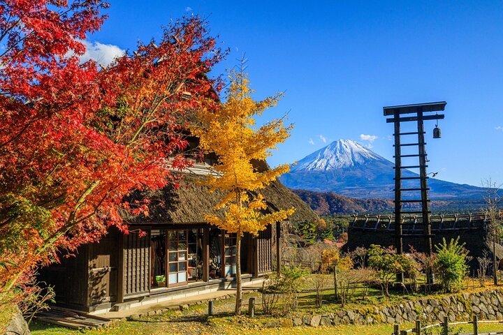 Mt Fuji View and Hakushu Whisky Museum Private Tour from Tokyo