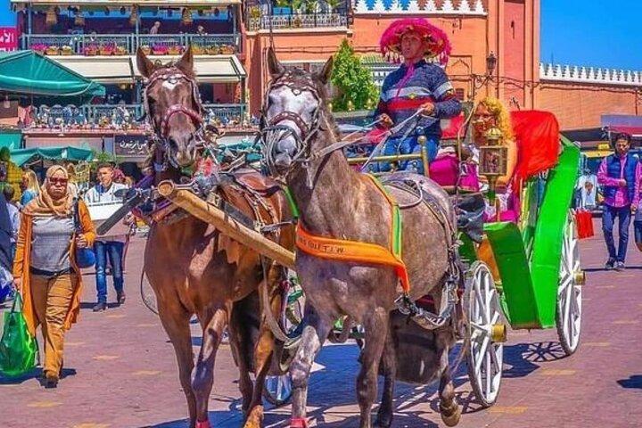 Marrakech 1 hour Horse Carriage Rides