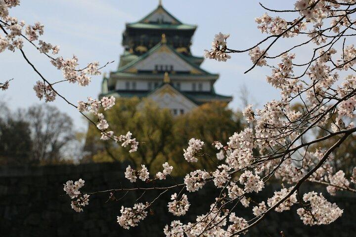Visite privée d'Osaka avec un Guide local