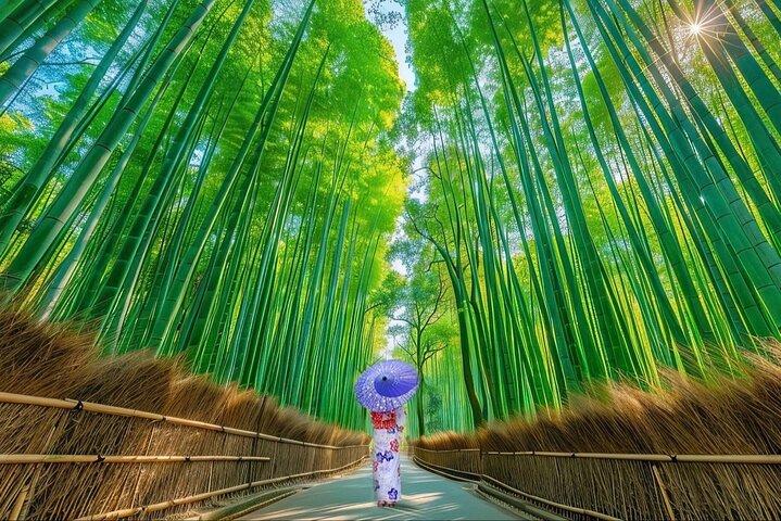 Kyoto Privat tilpasset dagstur med guide
