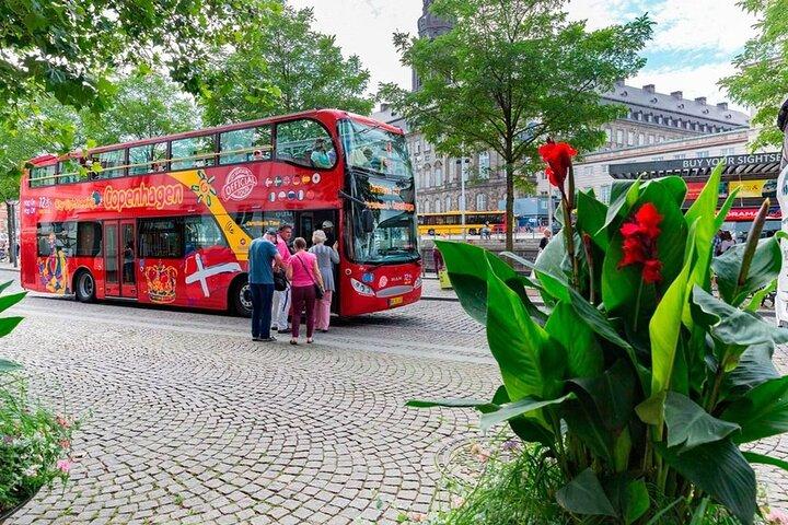 Copenhagen Hop on Hop off Tour de autocarro de 24 horas