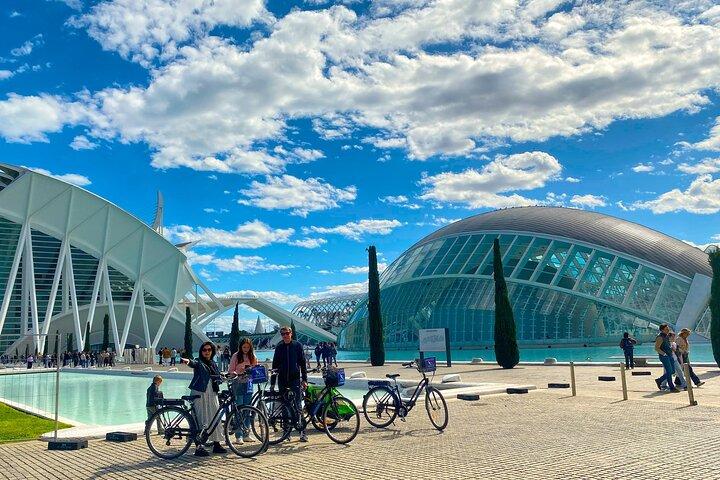 Tour privato della città in e-bike della storia di Valencia, Giardini