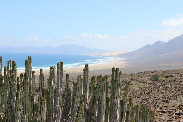 From North Fuerteventura 4x4 Tour Cofete and Jandía Natural Park