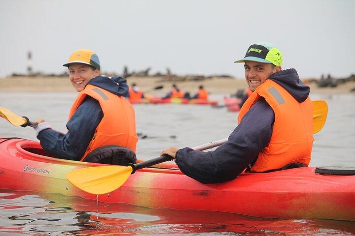 Pelican Point Kayaking Tour de medio día