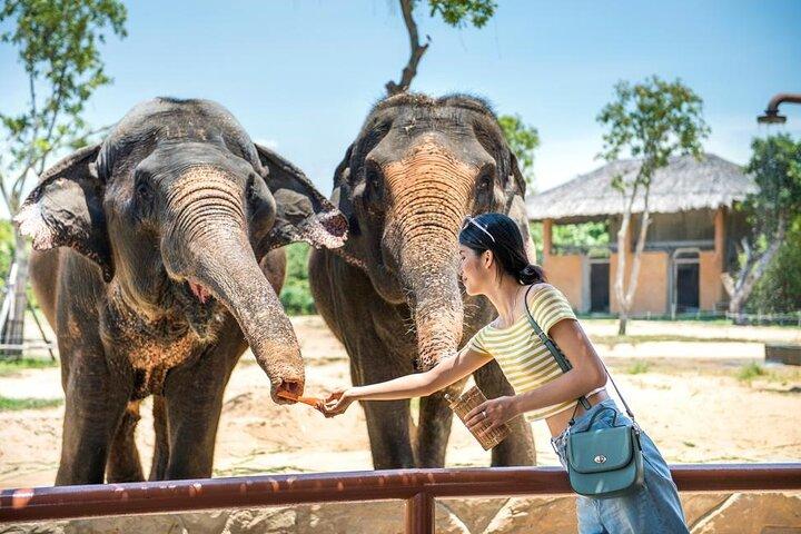 VinWonders Nam Hoi An Theme Park Admission Ticket in Vietnam