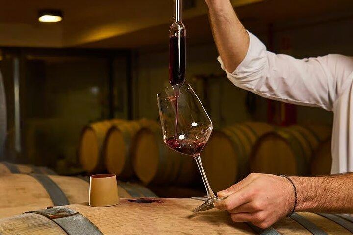 Wijnproeverij in een authentieke Toscaanse kelder in Radda in Chianti