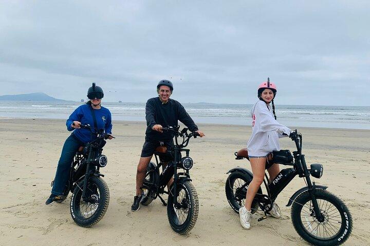 Oplev strandkulturen og Baja Tacos af E Bike