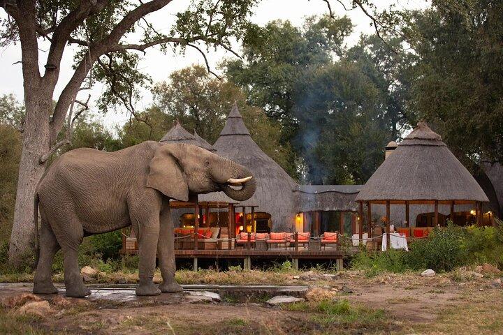 5 - Day Cape Town, Safari and Garden Route, Tour pela África do Sul