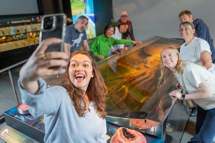 Museum van NZ Te Papa Tongarewa : Toegang voor internationale bezoekers