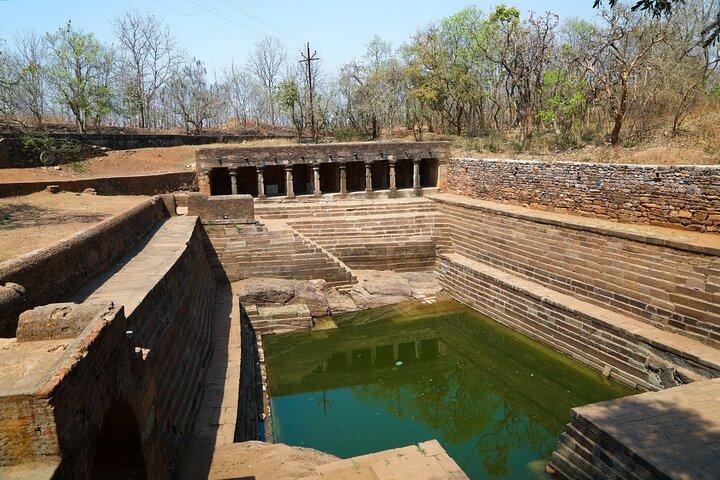Nagpur à Aurangabad via la réserve de tigres de Melghat et Akola