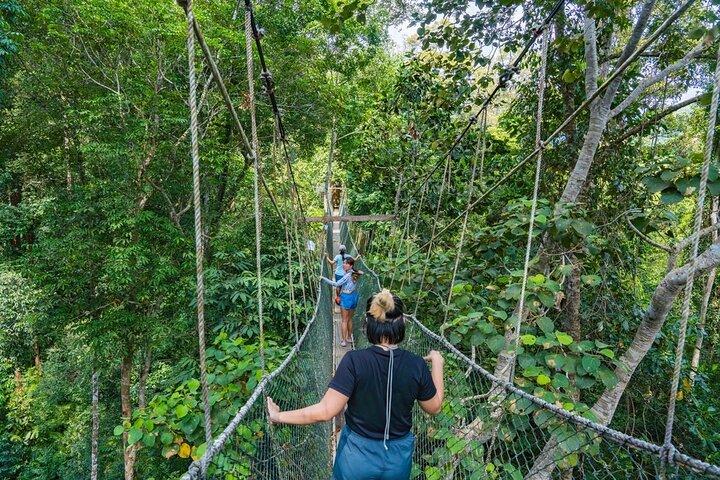 Au départ de Kuala Lumpur Excursion d'une journée à Taman Negara avec déjeuner