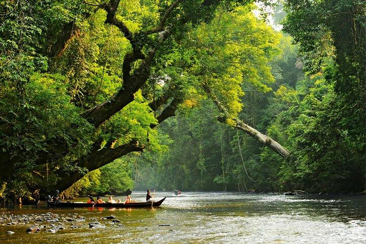 Au départ de Kuala Lumpur Excursion d'une journée à Taman Negara avec déjeuner
