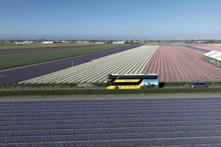 ロッテルダムクルーズターミナルまたは市内中心部からのケーケンホフ日帰り旅行