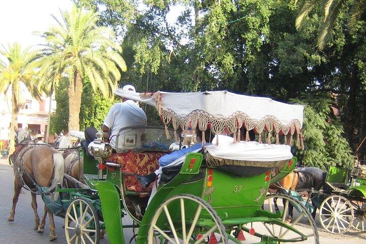 Marrakech City Tour with Anima Garden, Menara & Caleche Ride