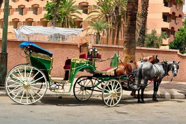 Marrakech City Tour with Anima Garden, Menara & Caleche Ride