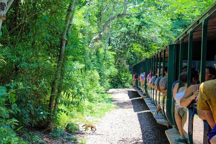 Viagem a Iguazu : 4 - Aventura de um dia a partir de Buenos Aires