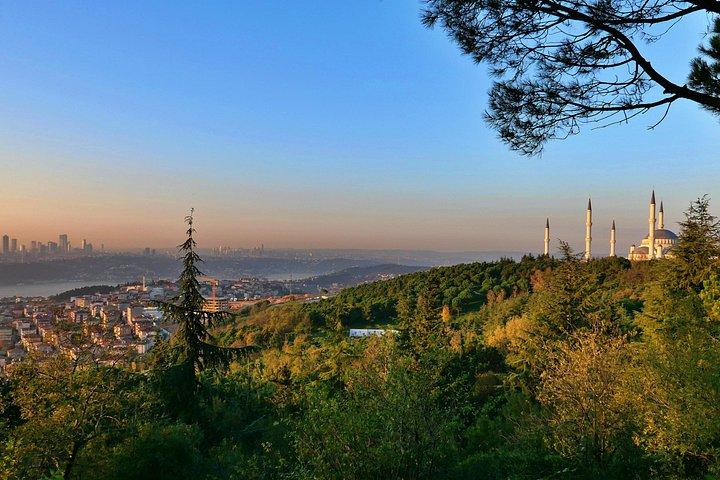 Istanbul Asian Side Tour Beylerbeyi Palace and Çamlıca Hill