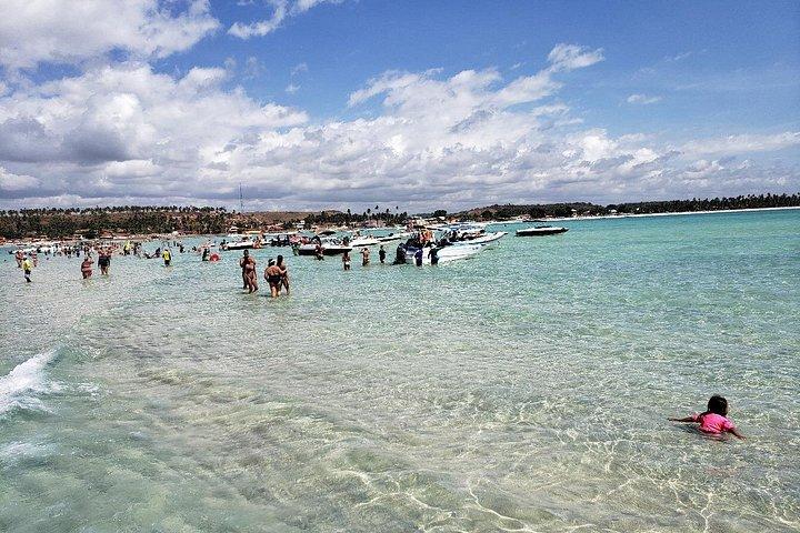 Excursion en bateau à Maragogi