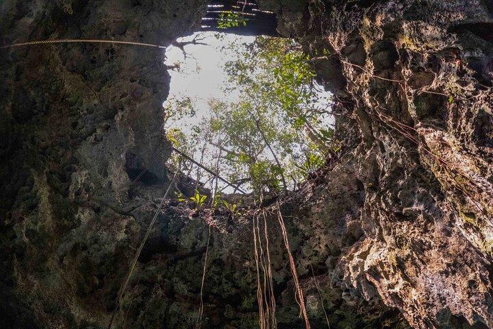 Tulum and Exclusive Cave Cenote Discovery with Lunch