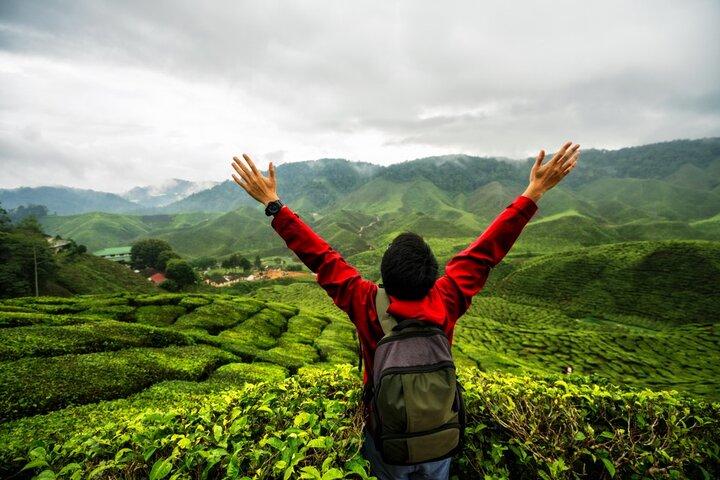 Voyage privé dans la nature aux Cameron Highlands depuis Kuala Lumpur