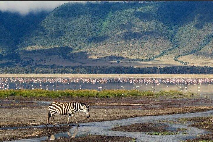 Safari di 4 giorni nel Parco Nazionale del Serengeti, Ngorongoro e Tarangire
