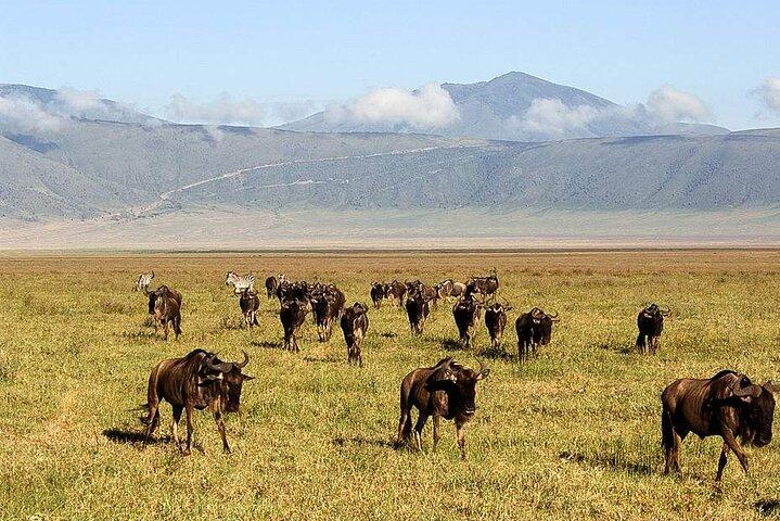 Safari di 4 giorni nel Parco Nazionale del Serengeti, Ngorongoro e Tarangire