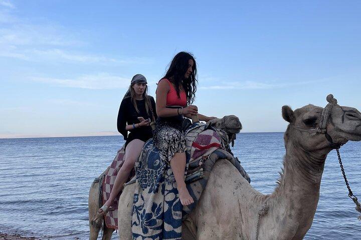 4 giorni Dahab, St.Catherine Mount Spiagge di avventura, Festa beduina