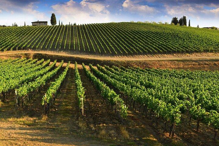 Halve dag ontsnappen naar Chianti : Proef het hart van Toscane