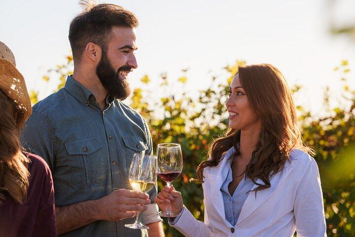 Halve dag ontsnappen naar Chianti : Proef het hart van Toscane