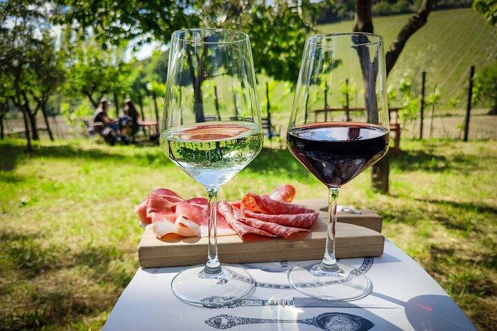 Halve dag ontsnappen naar Chianti : Proef het hart van Toscane
