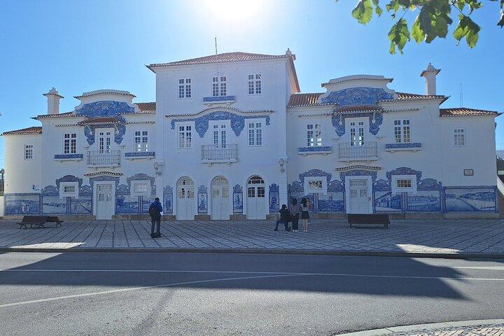 Private Aveiro & Costa Nova Küstentour ab Porto