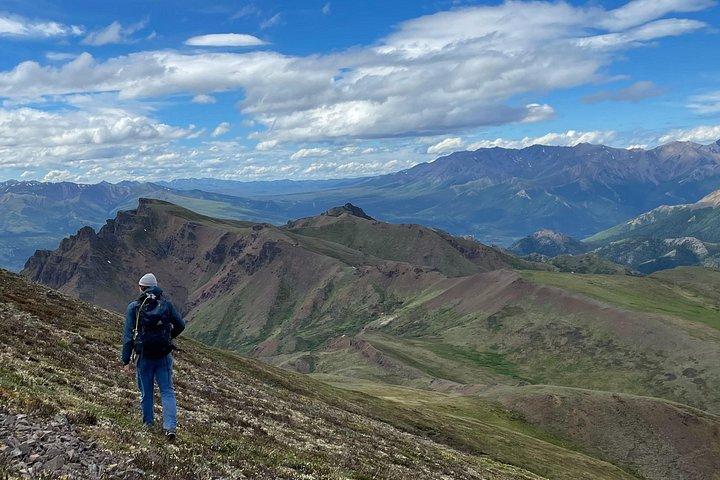 Denali 4 Hour Hiking Adventure with Naturalist Guide