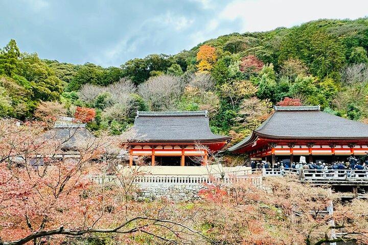 Kyoto & Uji Day Tour: Gyllene Paviljongen, Kiyomizu-dera och Byodo-in