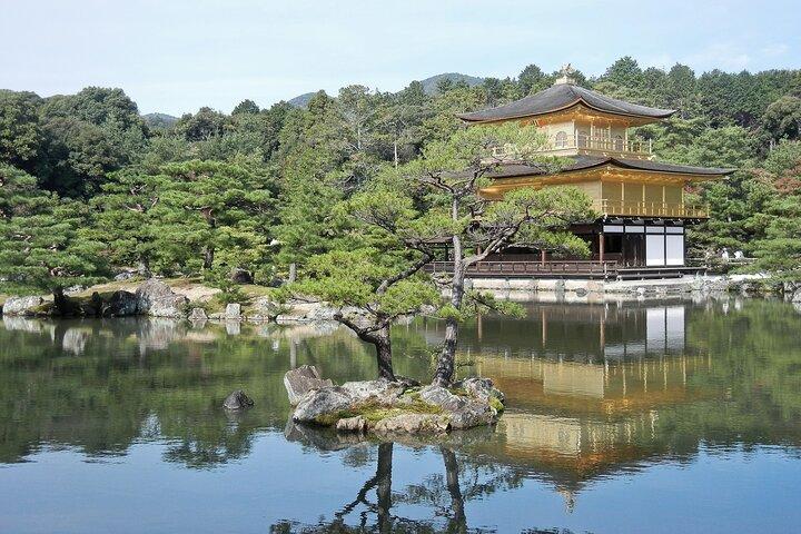 Kyoto & Uji Day Tour: Gyllene Paviljongen, Kiyomizu-dera och Byodo-in