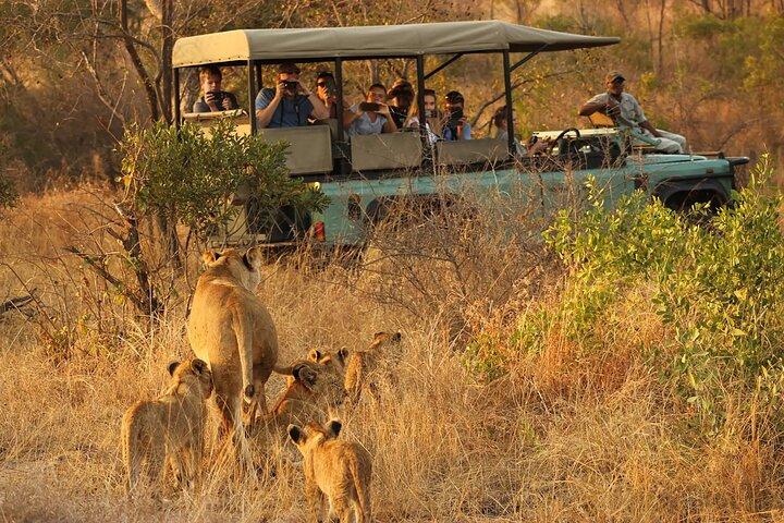 5 - Day Cape Town, Safari and Garden Route, Tour pela África do Sul
