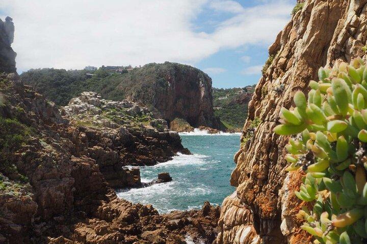 5 - Day Cape Town, Safari and Garden Route, Tour pela África do Sul