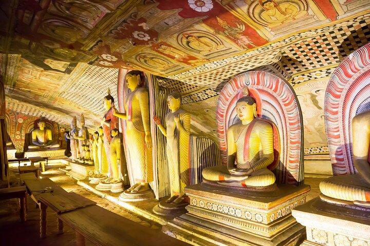 Excursion privée d'une journée à Sigiriya, Cave Temple & National Park Safari