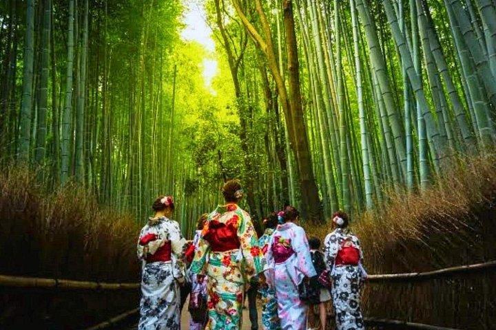箕尾の滝と嵐山竹林と東大寺巡り