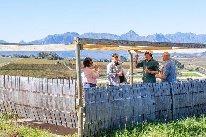 Sesiones secretas de sumiller: descubriendo los misterios del vino