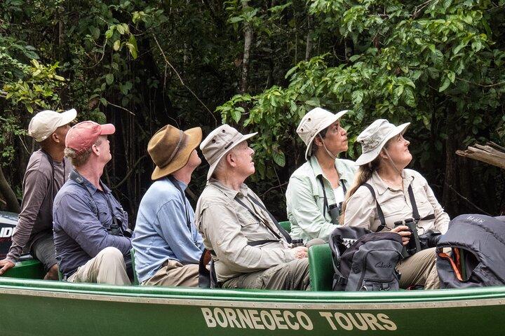 Hoteller i nærheden af Sukau Rainforest Wildlife Journey and Cruises